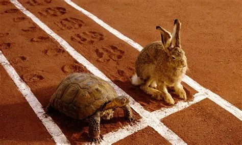 The Tortoise and the Hare: Un conte sud-africain du XVIe siècle qui célèbre la persévérance !